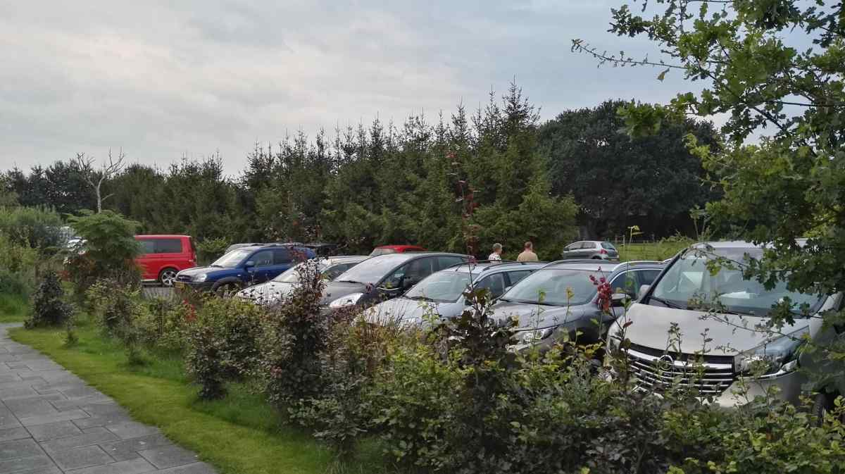 dg367