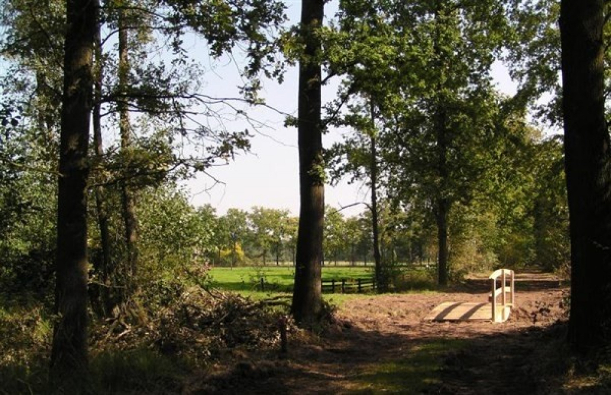 Recreatiewoning in Winterswijk voor 8 personen foto 7