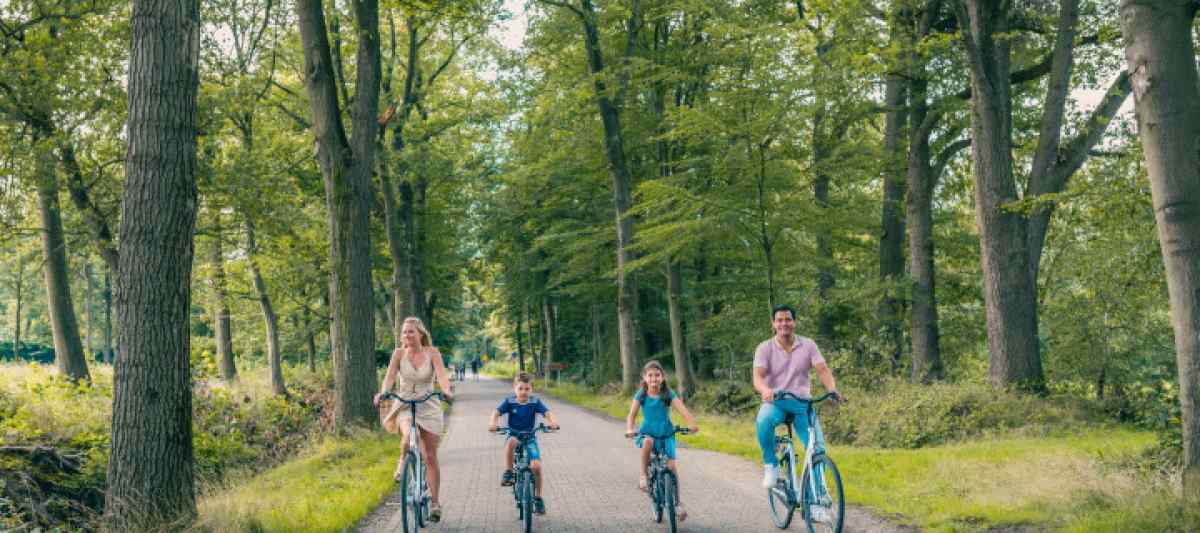 Chalet in Nieuwvliet voor 6 personen foto 17