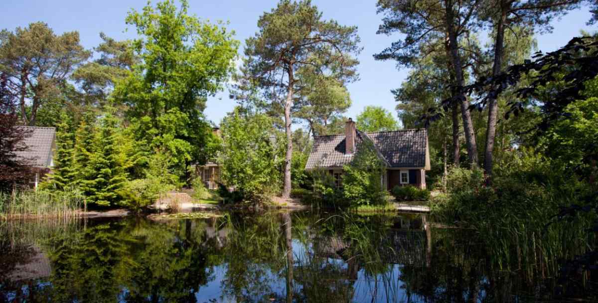 Chalet in Beekbergen voor 6 personen foto 14