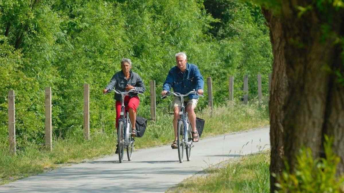 Chalet in Velsen-Zuid voor 6 personen foto 18