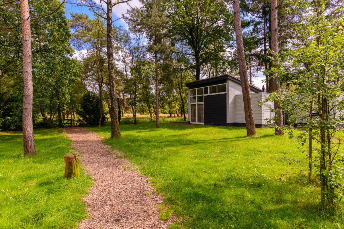 Bungalow in Kootwijk voor 8 personen foto 12