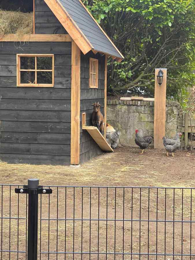 Bungalow in Vaassen voor 6 personen foto 12