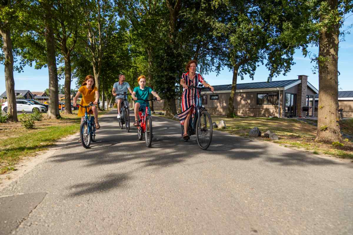 Chalet in Kampen voor 6 personen foto 6