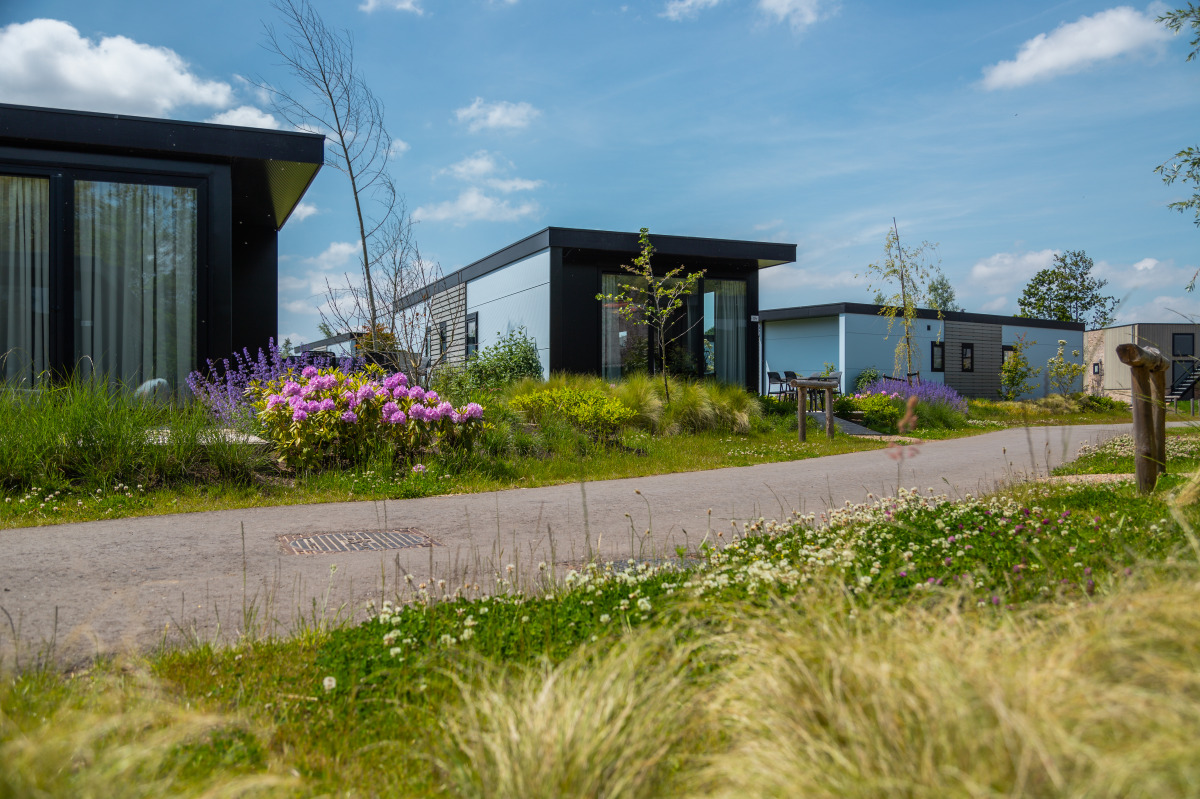 Villa in Wanneperveen voor 6 personen foto 3