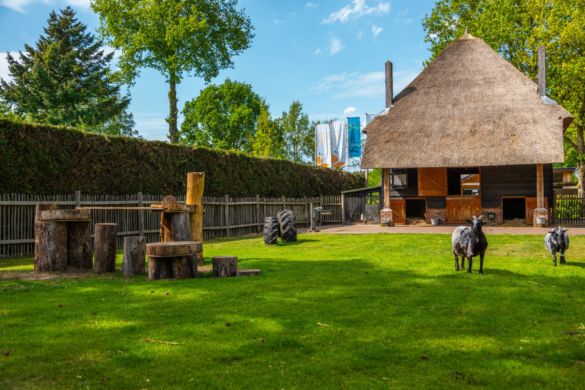 Chalet in Otterlo voor 6 personen foto 14
