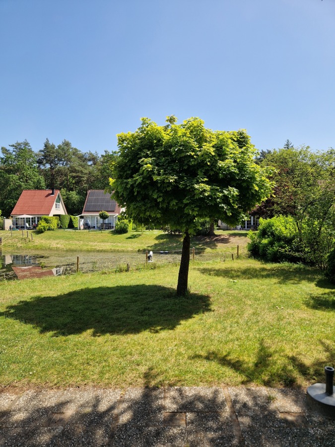 Bungalow in Hellendoorn voor 6 personen foto 11