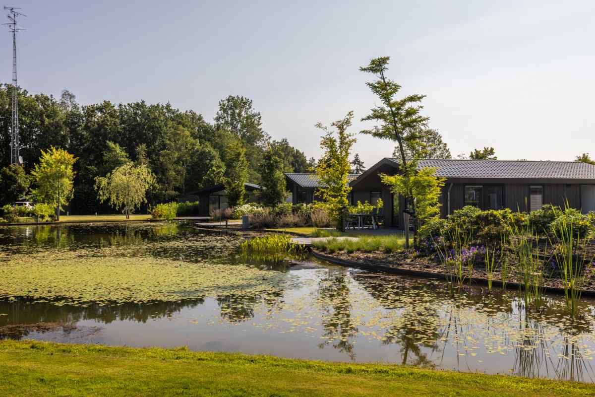 Chalet in Veldhoven voor 6 personen foto 9