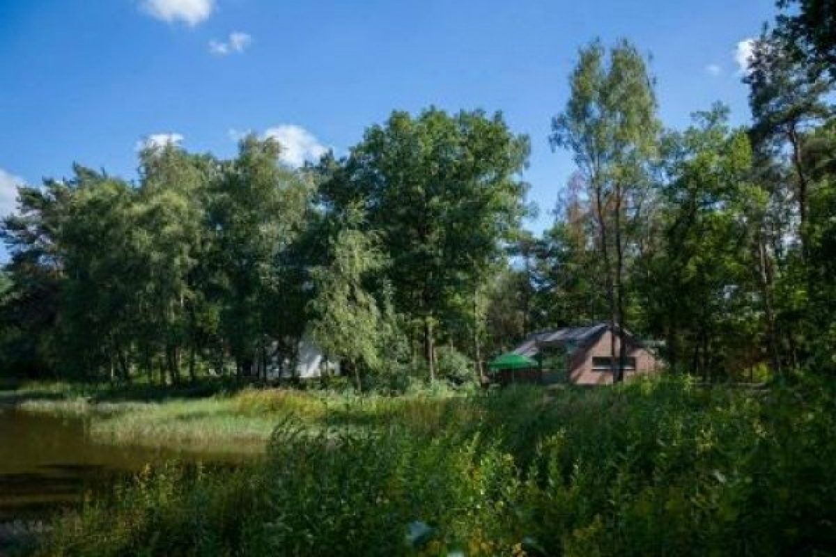 Bungalow in Stramproy voor 10 personen foto 15