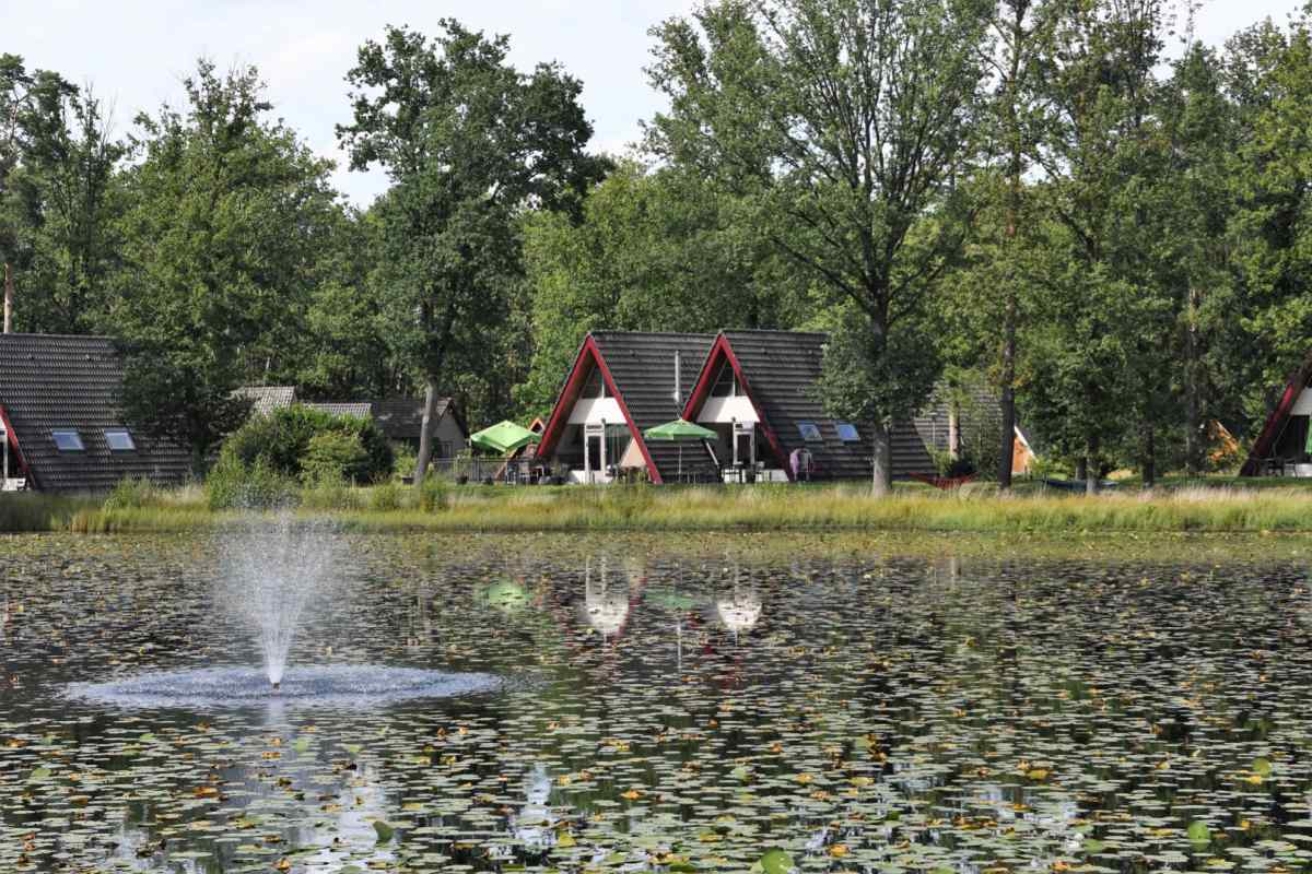 Bungalow in Stramproy voor 10 personen foto 10
