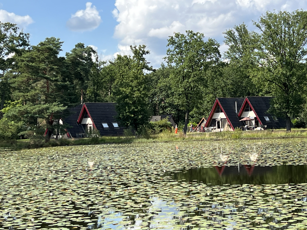 Bungalow in Stramproy voor 10 personen foto 16