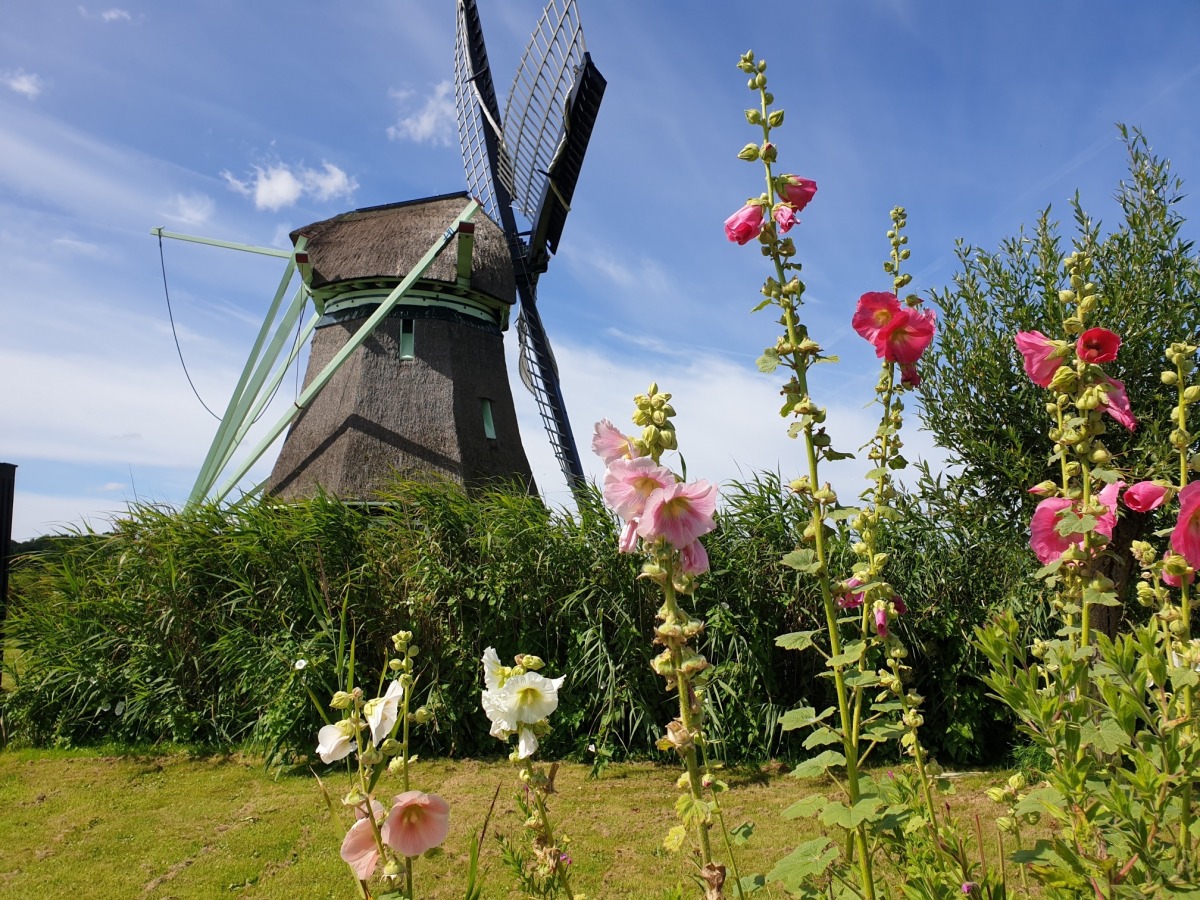 Recreatiewoning in Oudesluis voor 10 personen foto 11
