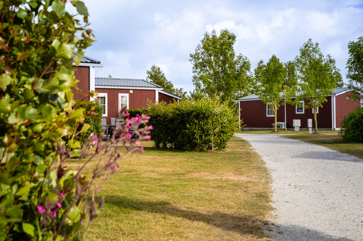 Villa in Oosterend voor 6 personen foto 7