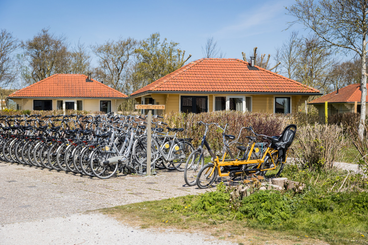 Villa in Oosterend voor 6 personen foto 3