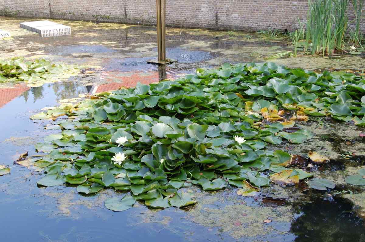 Villa in Wemeldinge voor 6 personen foto 11