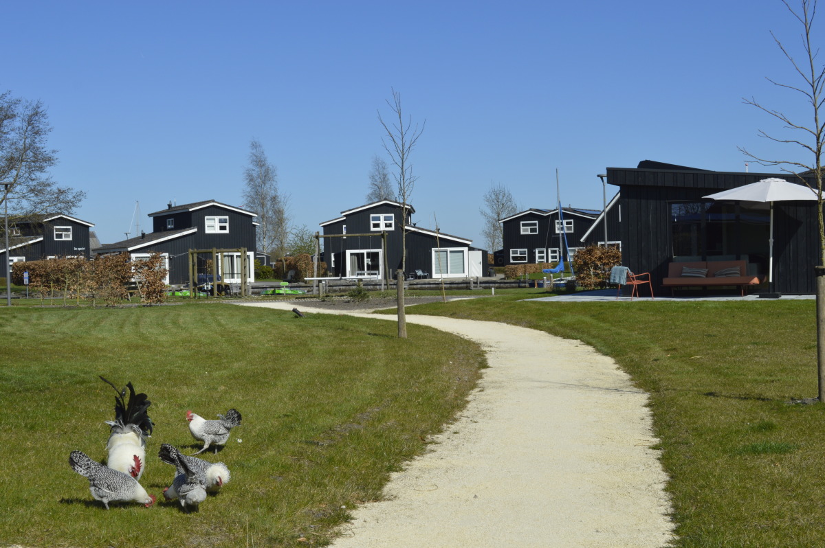 Recreatiewoning in Terherne voor 6 personen foto 11