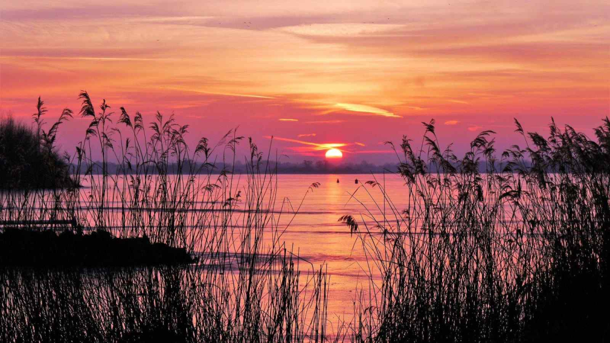 Villa in Delfstrahuizen voor 8 personen foto 7
