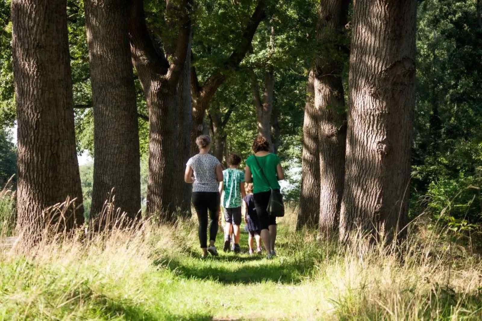 Bungalowpark Het Hart van Drenthe photo 4