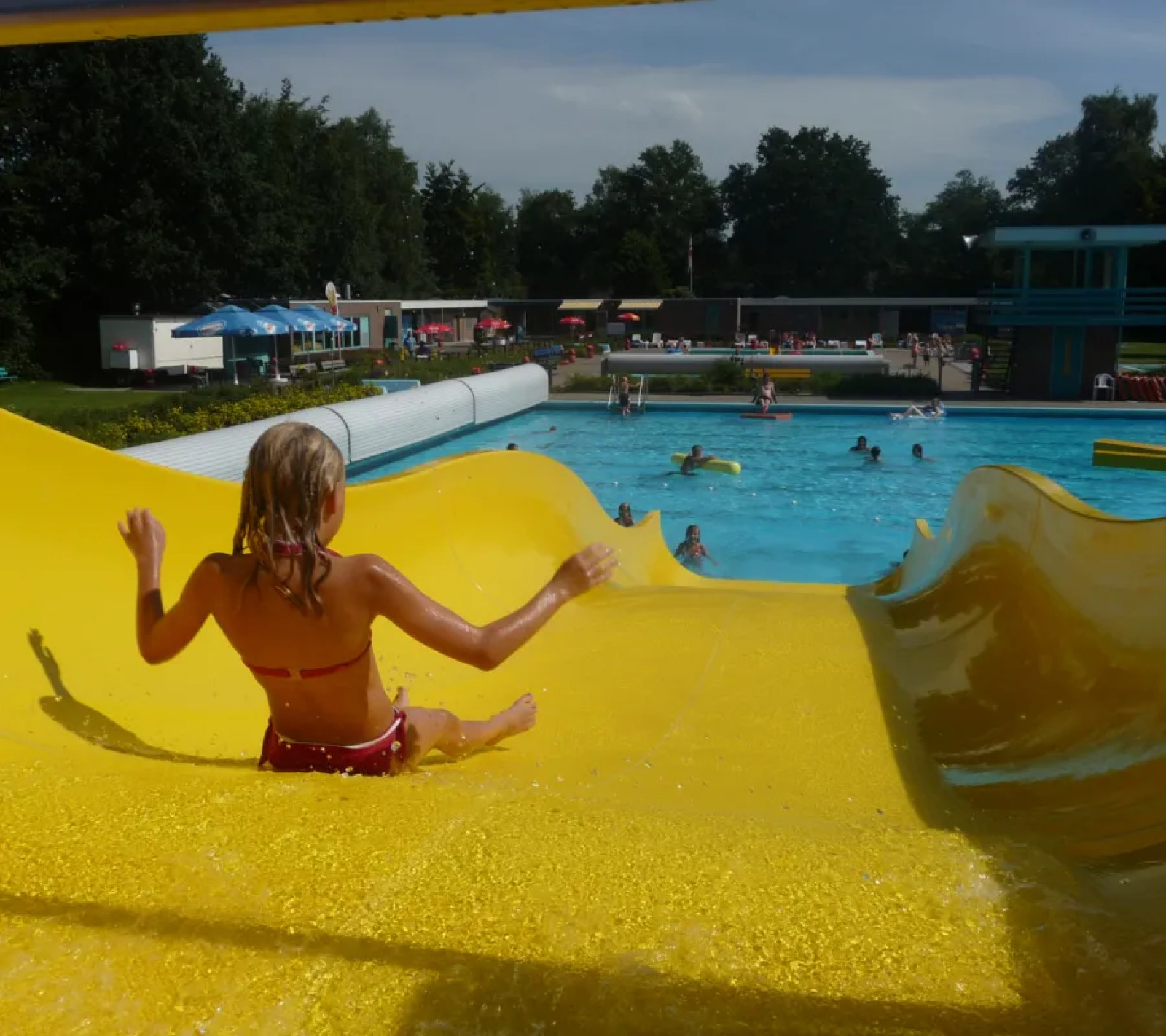 Het Bosmeer