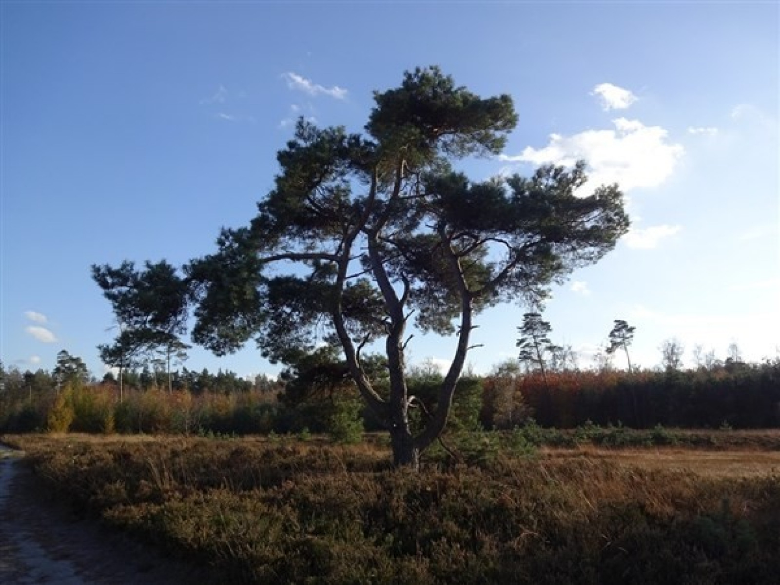 Recreatiepark De Veldkamp