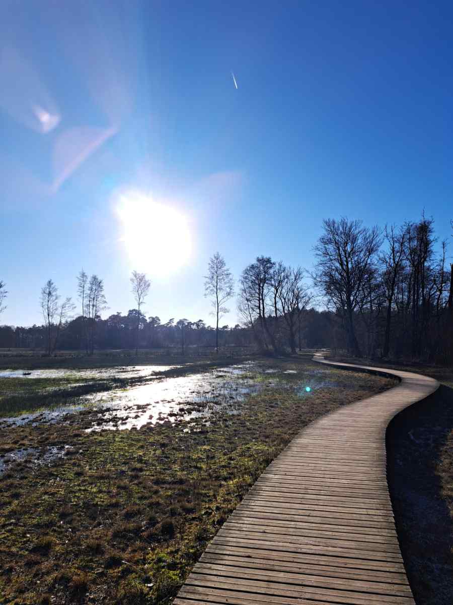 Recreatiepark De Veldkamp photo 3