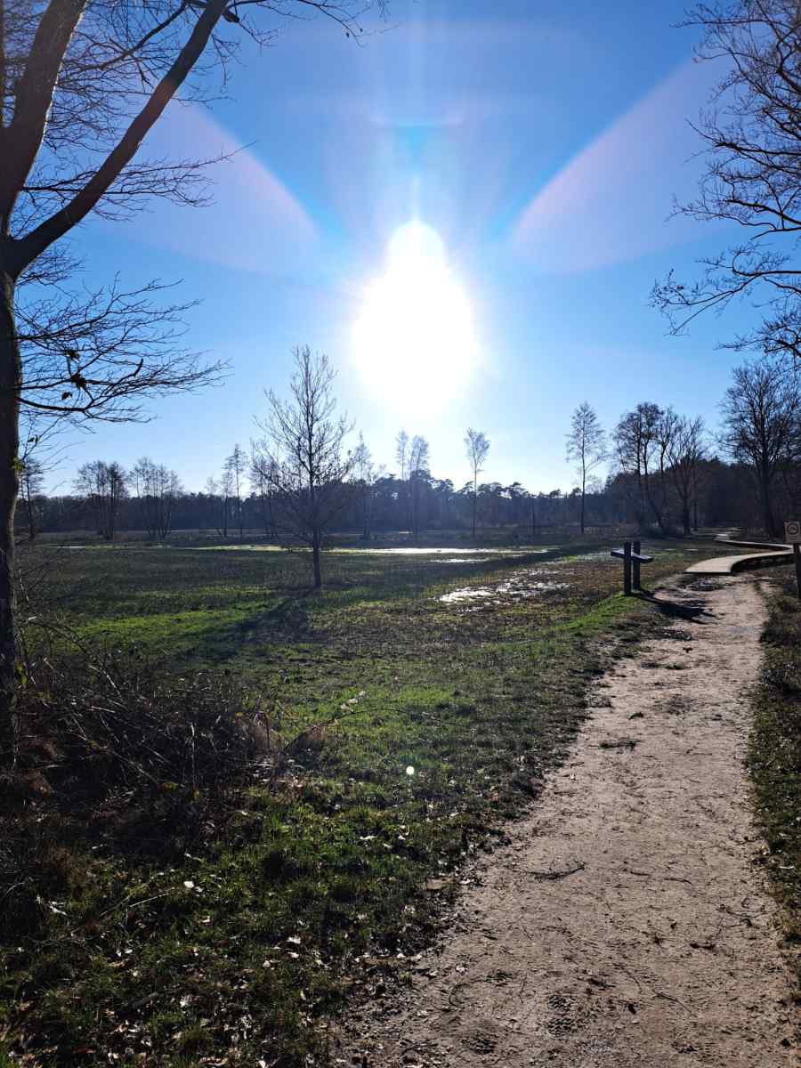 Recreatiepark De Veldkamp photo 4