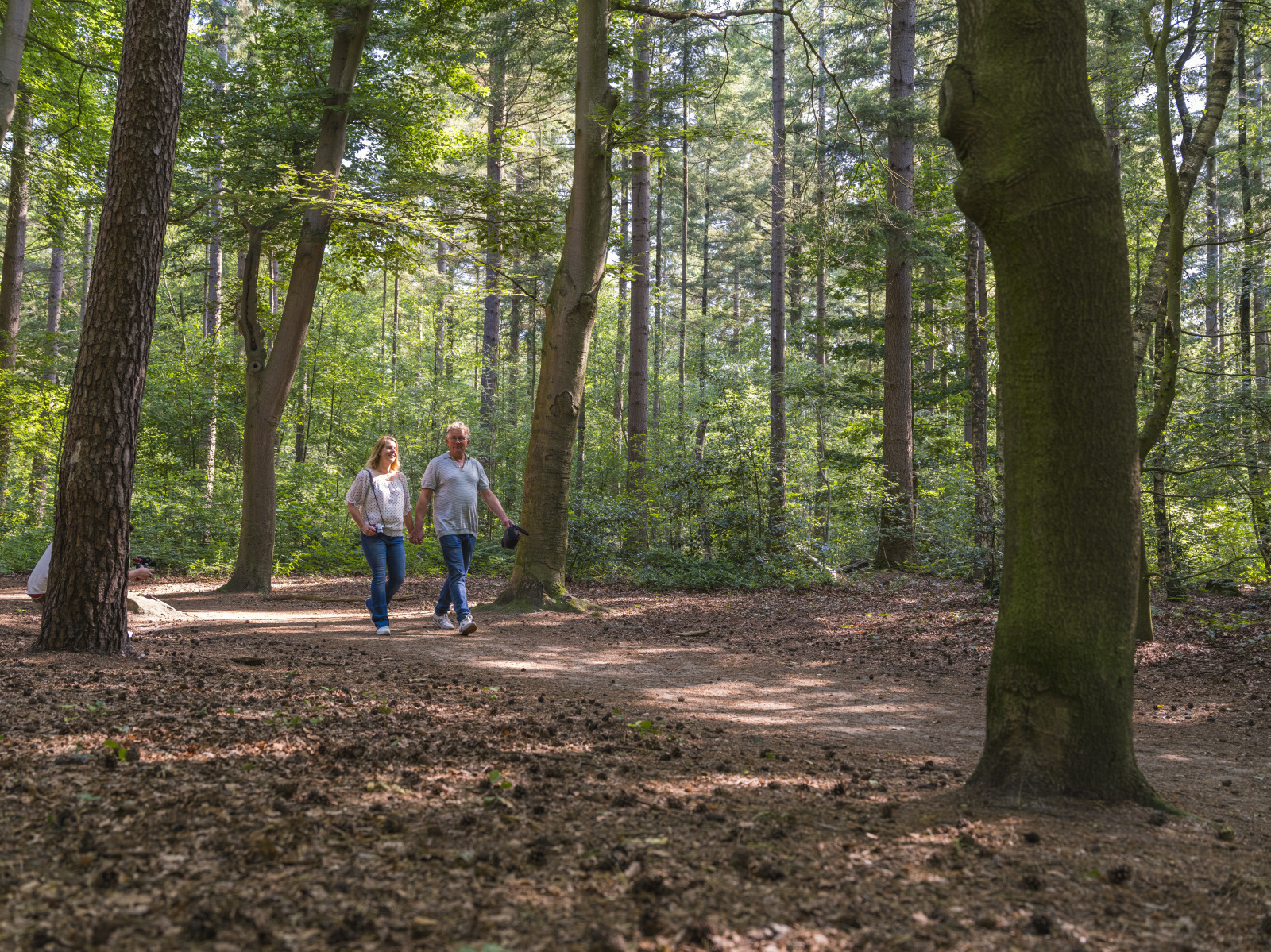 Vakantiepark Ackersate