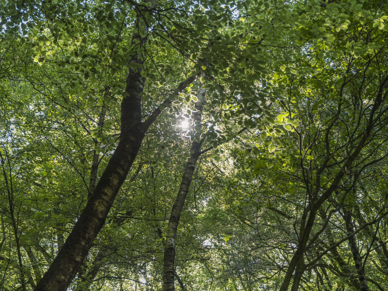 Vakantiepark Ackersate