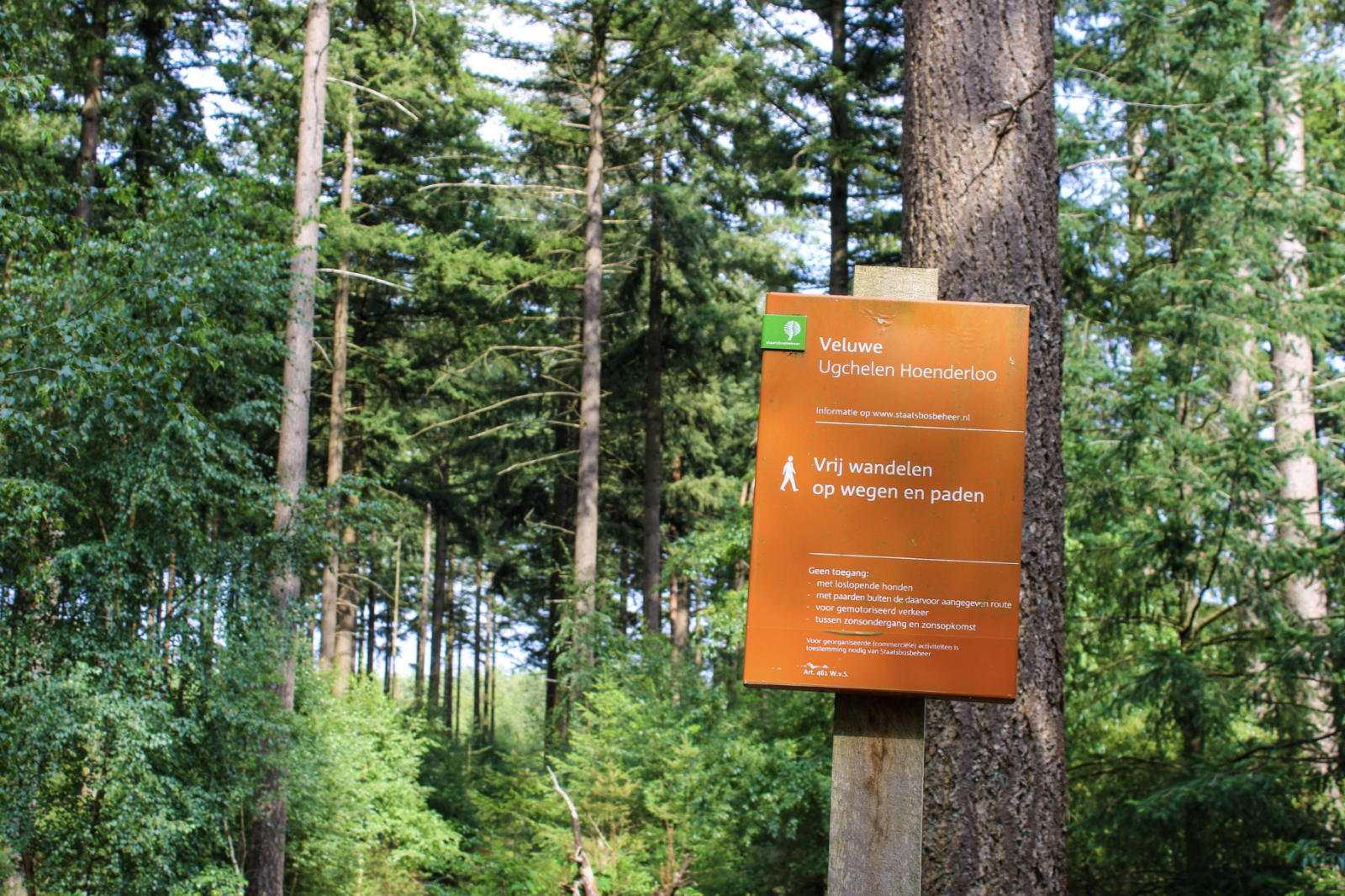 Vakantiepark De Rimboe & De Woeste Hoogte