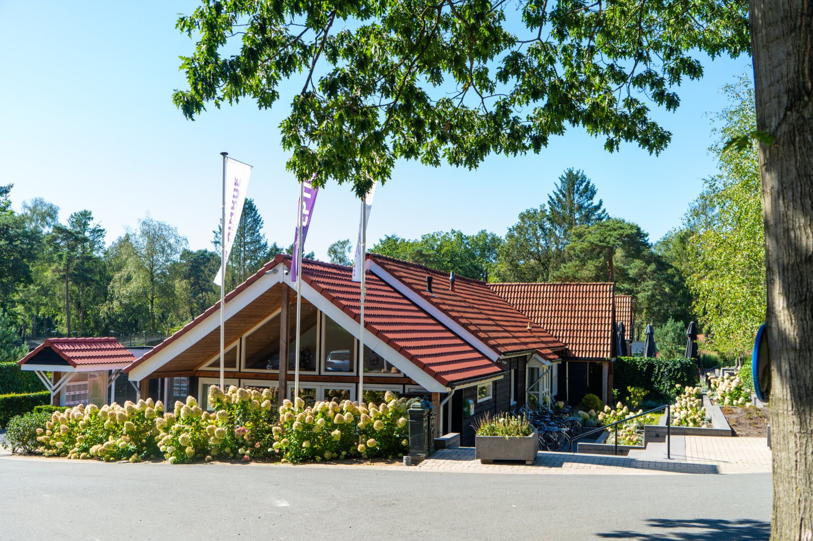 Vakantiepark De Rimboe & De Woeste Hoogte