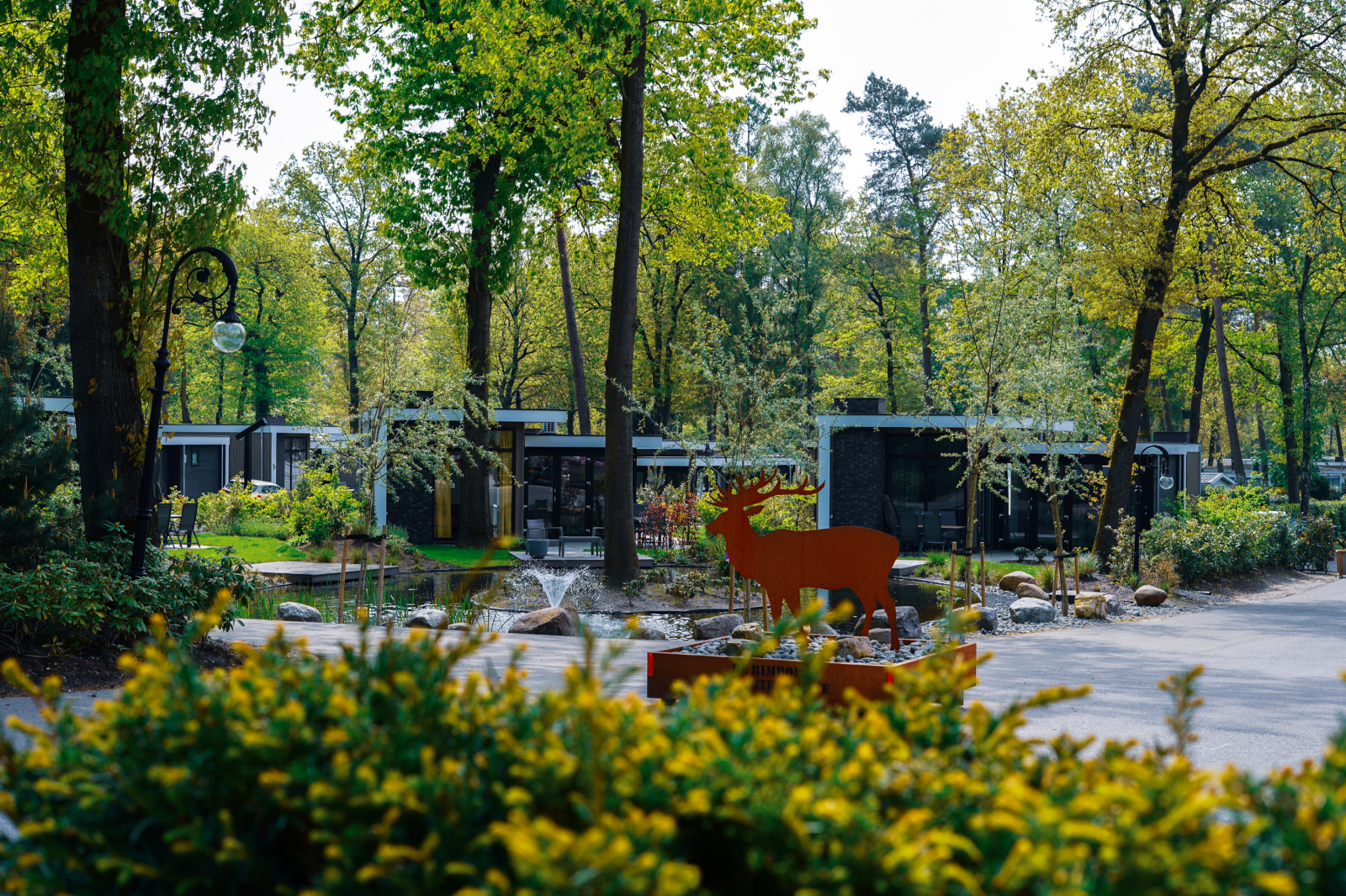Vakantiepark De Rimboe & De Woeste Hoogte