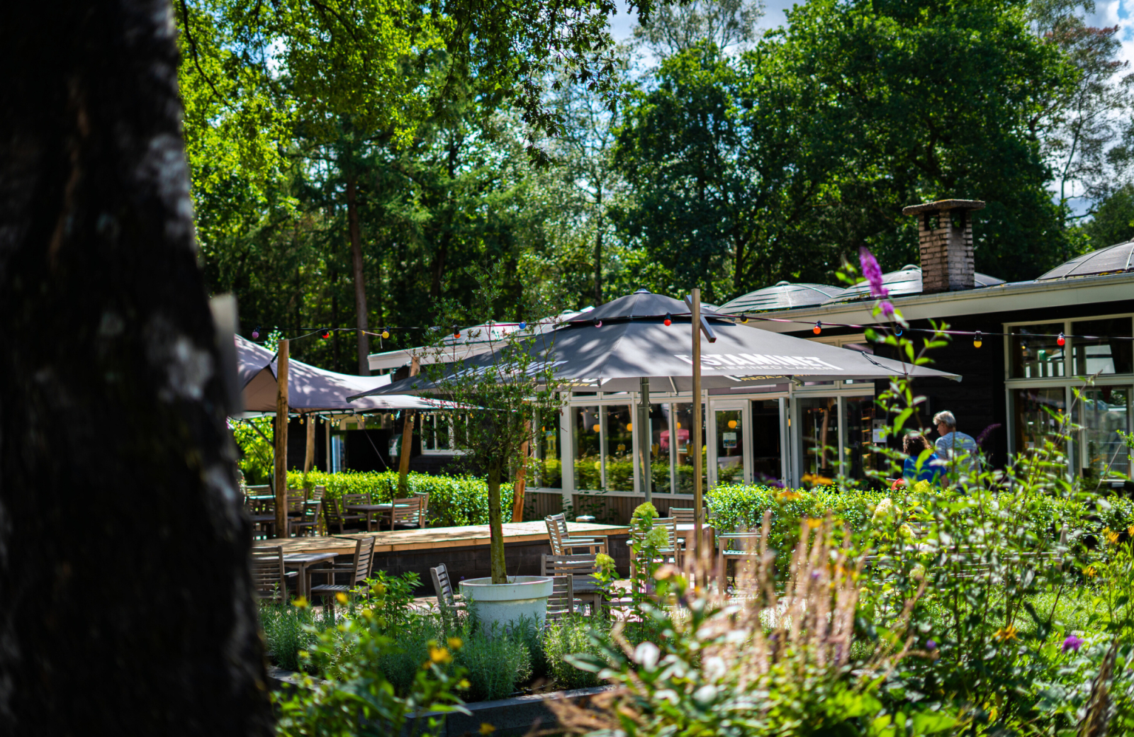 Vakantiepark De Rimboe & De Woeste Hoogte