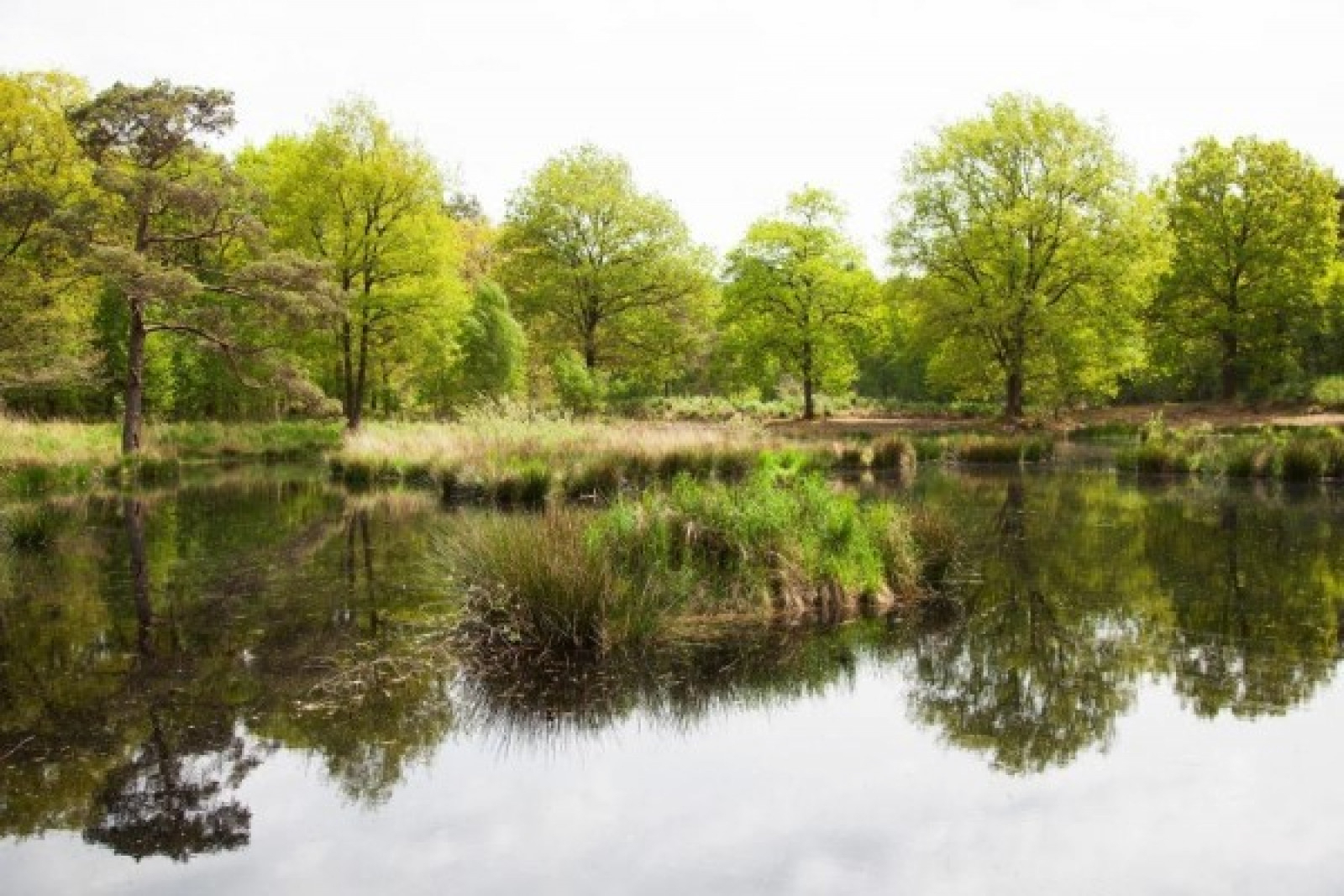 Villaparc Schoonhovenseland - Ferienpark
